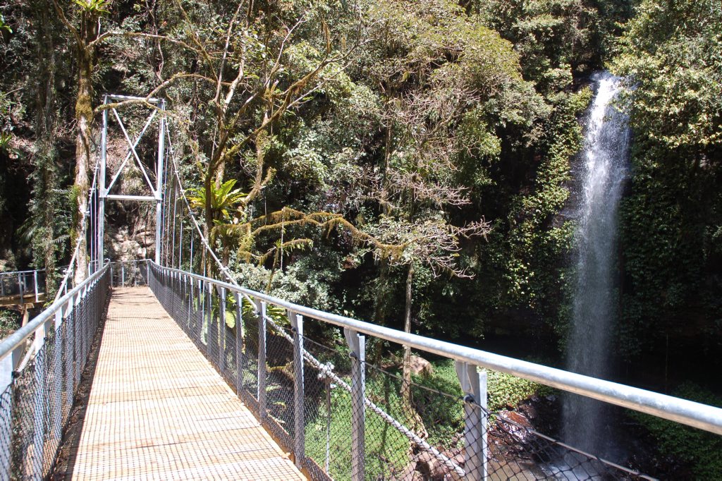 The Crystal Shower Falls suspension bridge at Dorrigo National Park. The Crystal Shower Falls suspension bridge at Dorrigo National Park.
